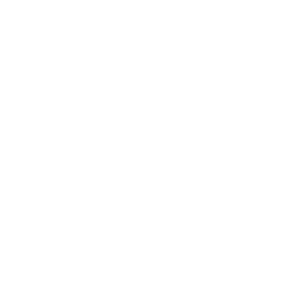 Zavre Logo